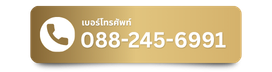088-245-6991